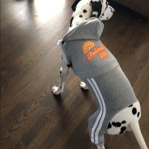 PetSmart Medium Dog Tracksuit